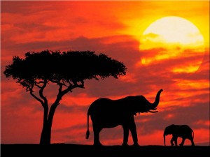 kenya