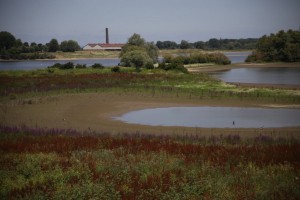 Siccità in Olanda: troppo sole 