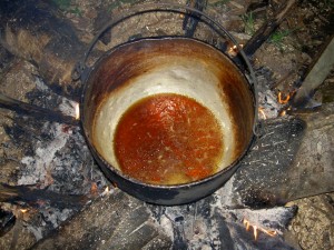 Ayahuasca the