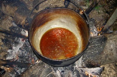 Ayahuasca the