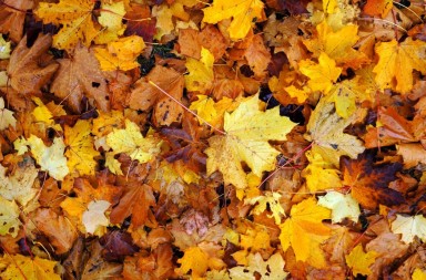 Novembre