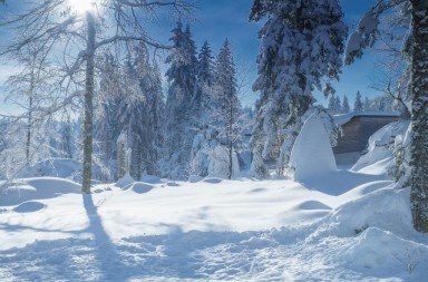 Eventi e Festival Dicembre