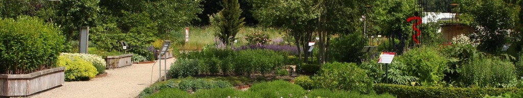 utrecht_giardini_botanici