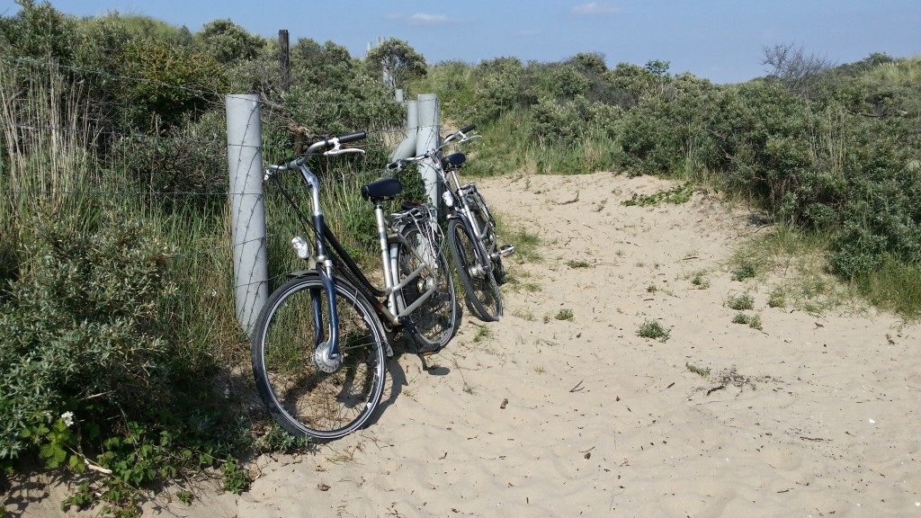 piste ciclabili